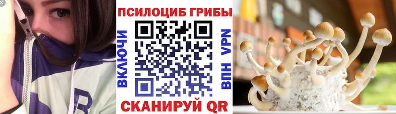 Галлюциногенные грибы GOLDEN TEACHER Оренбург