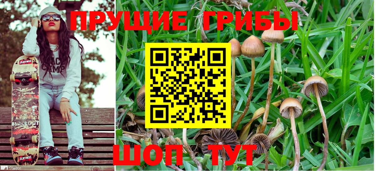 Оренбург  Псилоцибиновые грибы Psilocybine cubensis  закладки  Вход с VPN 